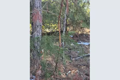 000 Cr 3854, Hawkins, TX 75765 - Photo 36