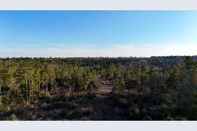 000 Cr 3854, Hawkins, TX 75765 - Photo 14