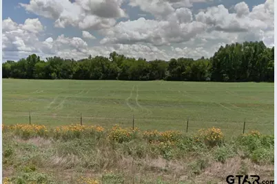 13365 Fm 768, Jacksonville, TX 75766 - Photo 1