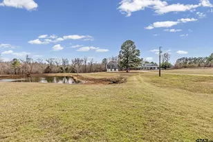 350 Pr 6937, Alba, TX 75410 - Photo 44