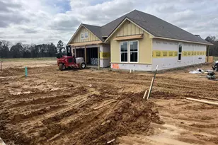 302 Driftwood Way, Whitehouse, TX 75791 - Photo 2