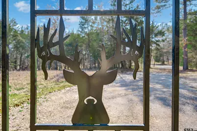 8779 Fm 768 N, Jacksonville, TX 75766 - Photo 44