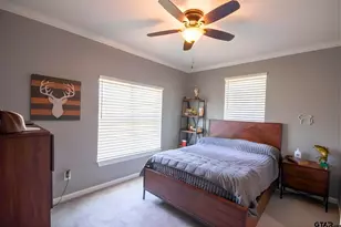 501 County Road 2195, Whitehouse, TX 75791 - Photo 18