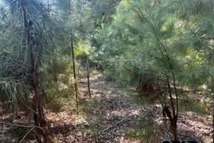 22847 Fm 2215, Frankston, TX 75763 - Photo 38