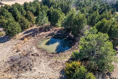 Tbd Fm 2339, Murchison, TX 75778 - Photo 14