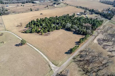 Tbd Fm 2339, Murchison, TX 75778 - Photo 6