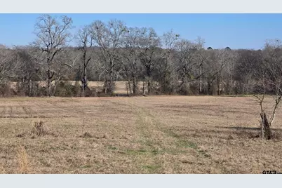 Tbd County Road 1106, Flint, TX 75762 - Photo 8
