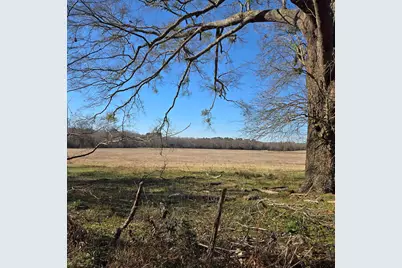 Tbd County Road 1106, Flint, TX 75762 - Photo 2