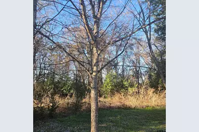 Tbd Rolling Wood Hills Subdivision, Bullard, TX 75757 - Photo 1