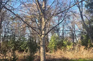 Tbd Rolling Wood Hills Subdivision, Bullard, TX 75757 - Photo 1