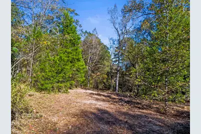 Tbd Cr 396, Tyler, TX 75708 - Photo 10