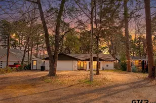 1339 Bridle Path Ln, Hideaway, TX 75771 - Photo 1