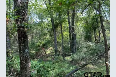 Tr 4-A Cr 41514, Athens, TX 75751 - Photo 4