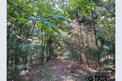 Tr 3-B Cr 41514, Athens, TX 75751 - Photo 6