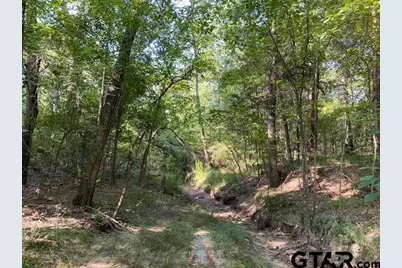 Tr 3-B Cr 41514, Athens, TX 75751 - Photo 2