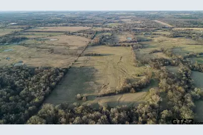 83+/- Acres Cr SW 3250, Winnsboro, TX 75494 - Photo 6