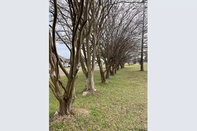 16133 County Road 4100, Lindale, TX 75771 - Photo 20