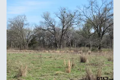 77.95 Ac Hwy 110, Jacksonville, TX 75766 - Photo 12