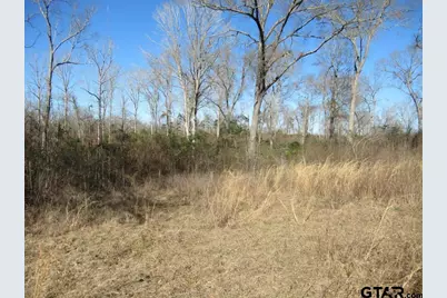 77.95 Ac Hwy 110, Jacksonville, TX 75766 - Photo 16