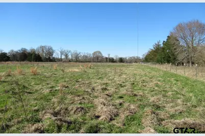 77.95 Ac Hwy 110, Jacksonville, TX 75766 - Photo 22