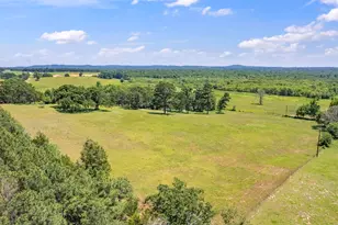 12250 Co Rd 3513, Brownsboro, TX 75756 - Photo 28