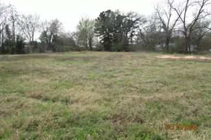 11228 Co Rd 4355, LaRue, TX 75770 - Photo 4