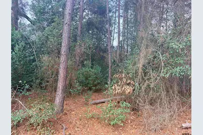 406 Janis, Bullard, TX 75757 - Photo 2