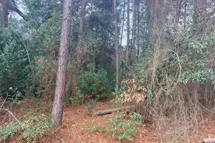 406 Janis, Bullard, TX 75757 - Photo 2