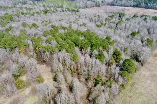 Tbd Cr 1460, Linden, TX 75563 - Photo 16