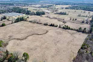 Tbd Cr 1460, Linden, TX 75563 - Photo 18