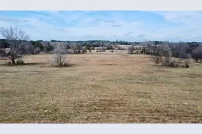 Tbd Cr 1460-1, Linden, TX 75563 - Photo 12