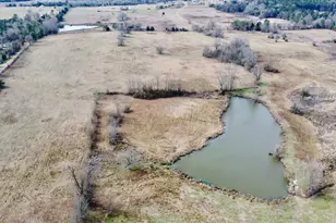 Tbd Cr 1460-2, Linden, TX 75563 - Photo 6