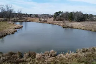 Tbd Cr 1460-2, Linden, TX 75563 - Photo 4