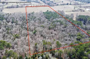 Tbd Cr 1460-3, Linden, TX 75563 - Photo 6