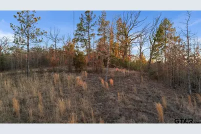 16935 Ridgeline Loop, Winona, TX 75792 - Photo 10