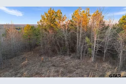 16935 Ridgeline Loop, Winona, TX 75792 - Photo 8