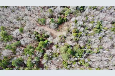 Tbd Cr 1460-4, Linden, TX 75563 - Photo 2