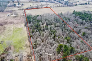 Tbd Cr 1460-4, Linden, TX 75563 - Photo 4