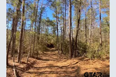 Tbd Fm 227, Kennard, TX 75847 - Photo 34