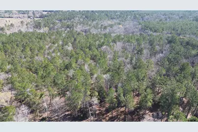 Tbd Fm 227, Kennard, TX 75847 - Photo 10