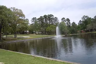 225 Holly Hill 118E, Holly Lake Ranch, TX 75765 - Photo 22