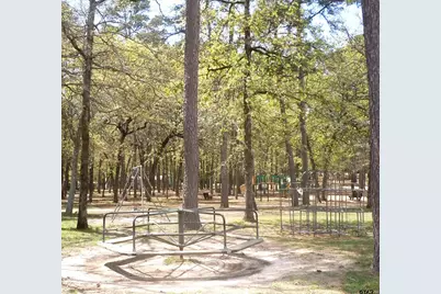 225 Holly Hill 118E, Holly Lake Ranch, TX 75765 - Photo 28