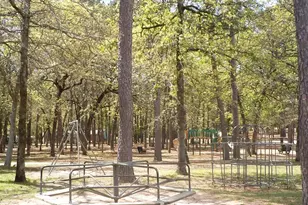 225 Holly Hill 118E, Holly Lake Ranch, TX 75765 - Photo 28