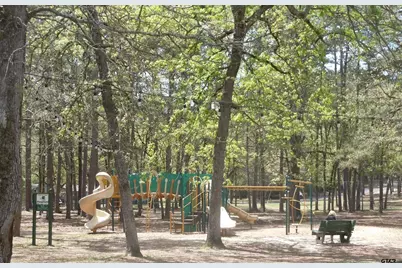 225 Holly Hill 118E, Holly Lake Ranch, TX 75765 - Photo 20