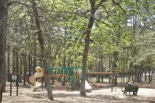 225 Holly Hill 118E, Holly Lake Ranch, TX 75765 - Photo 20