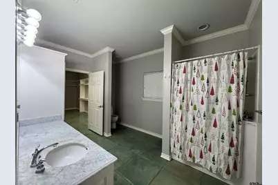 12890 County Road 46, Tyler, TX 75704 - Photo 6