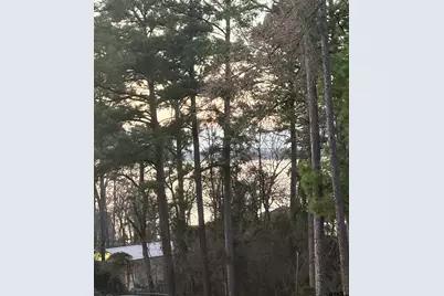 20847 Lakeview Dr, Flint, TX 75762 - Photo 4