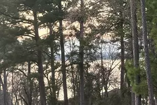 20847 Lakeview Dr, Flint, TX 75762 - Photo 4