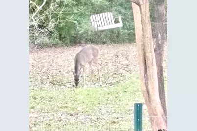 20847 Lakeview Dr, Flint, TX 75762 - Photo 38