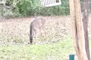 20847 Lakeview Dr, Flint, TX 75762 - Photo 38